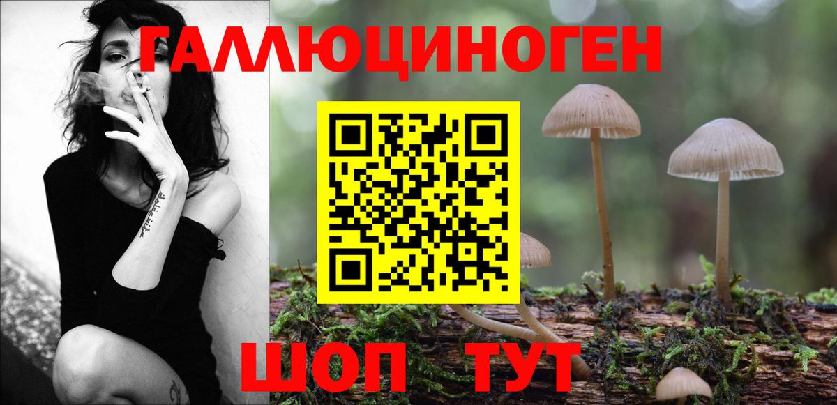 Псилоцибиновые грибы MAGIC MUSHROOMS  Вход с VPN  Екатеринбург 